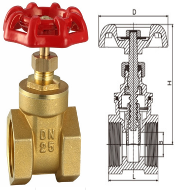 DN 8-100mm Brass Gate Valve