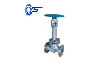 Low Temperature Globe Valve