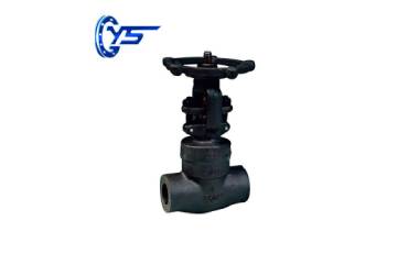 Forged Steel Globe Valve