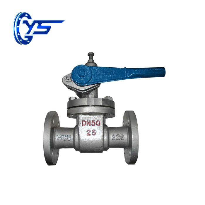 Blowdown Valve