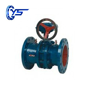 Butterfly Balanced Valve