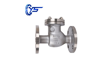 Stainless Steel Swing Check Valve