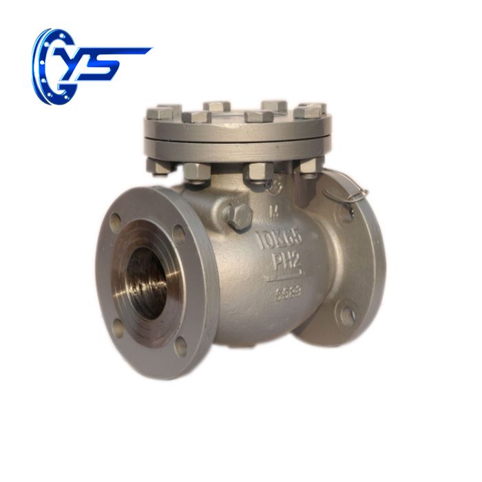 Check Valve: The Most Important Valve In a Process System