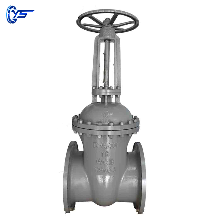 Stainless steel gate valve application field