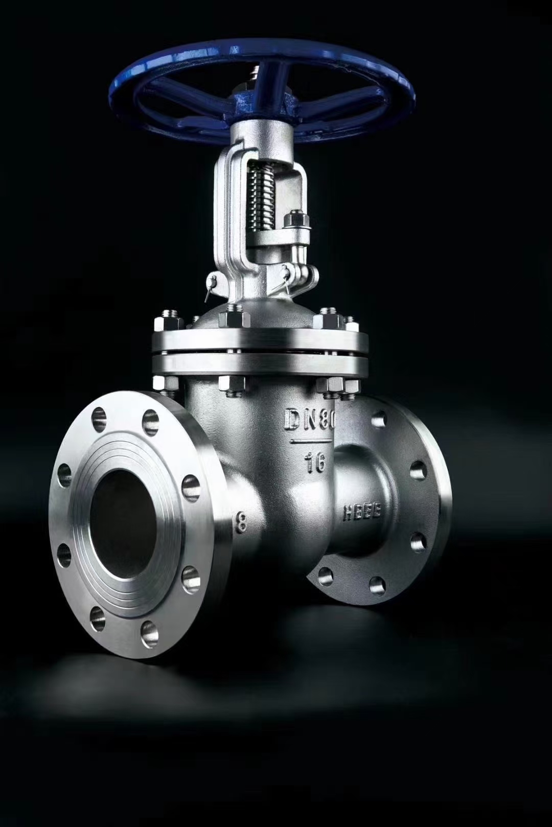 Stainless steel gate valve application field