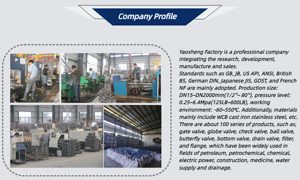 DN 50-600mm Rising Stem Knife Gate Valve