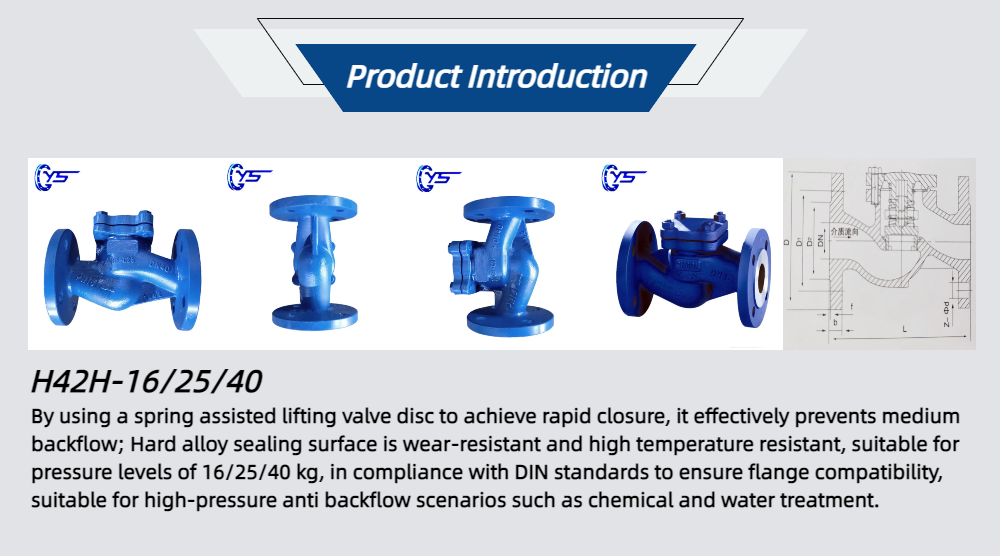 H42H-16/25/40 DIN Lifting Check Valve