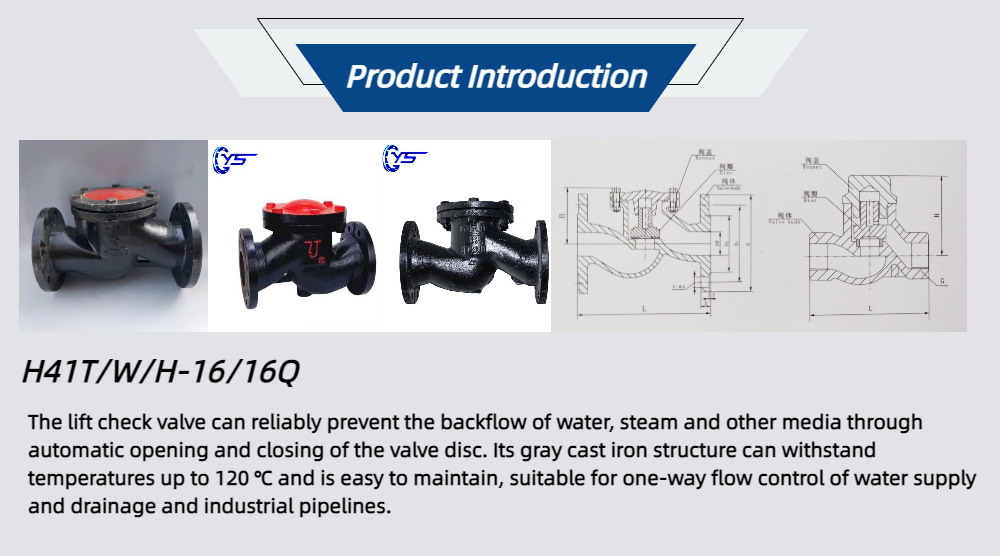 H41T/W/H-16/16Q Lifting Check Valve