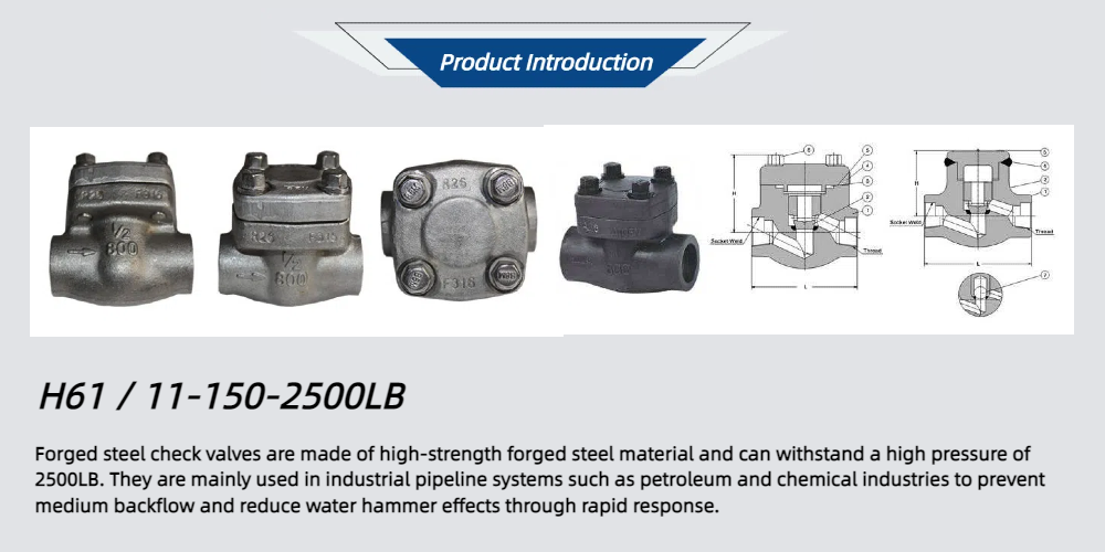 H61 / 11-150-2500LB forged steel check valve