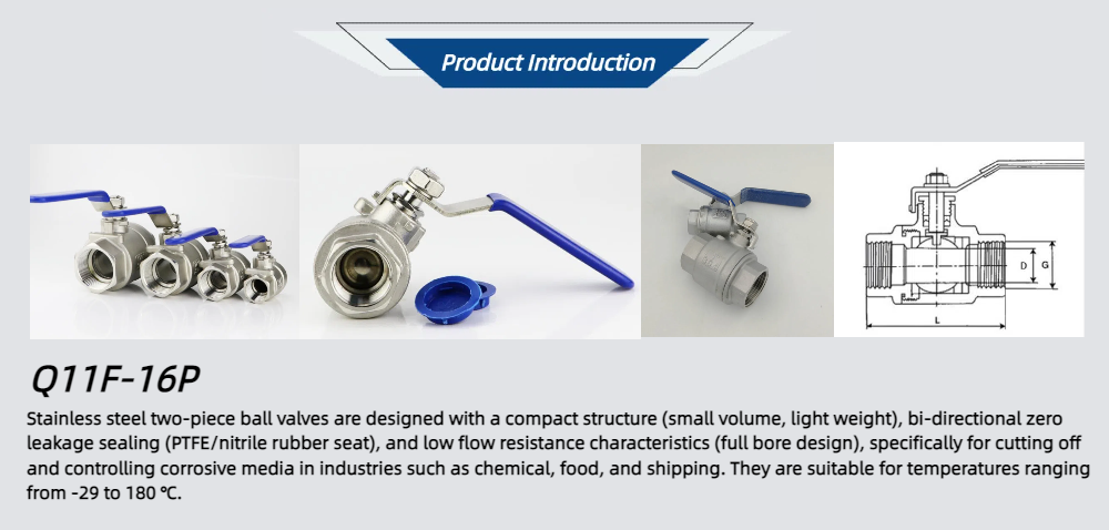 Q11F-16P stainless steel two-piece ball valve