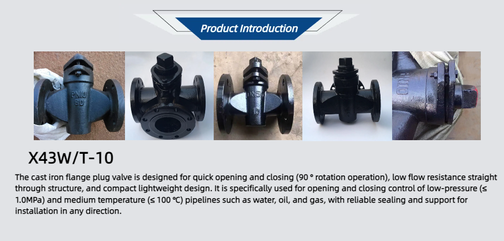 X43W/T-10 Cast Iron Flanged Plug Valve