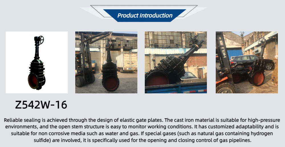 Z542W-16 Rising Stem Gas Gate Valve With Wormgear