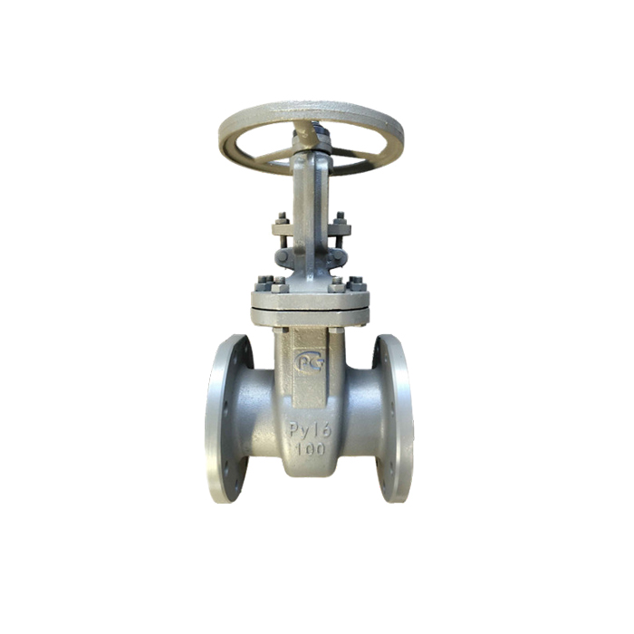 GOST carbon steel flanged gate valve