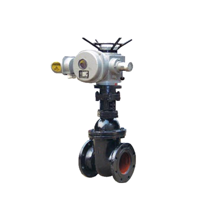 Grey iron Motorized parallel double disc gate valve