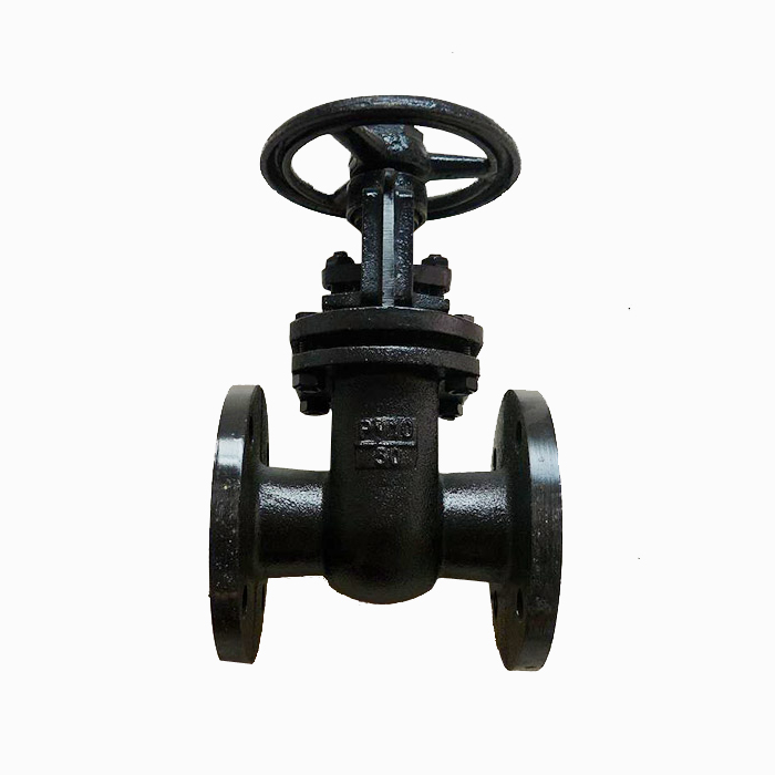 Gost standard cast iron double disc gate valve 