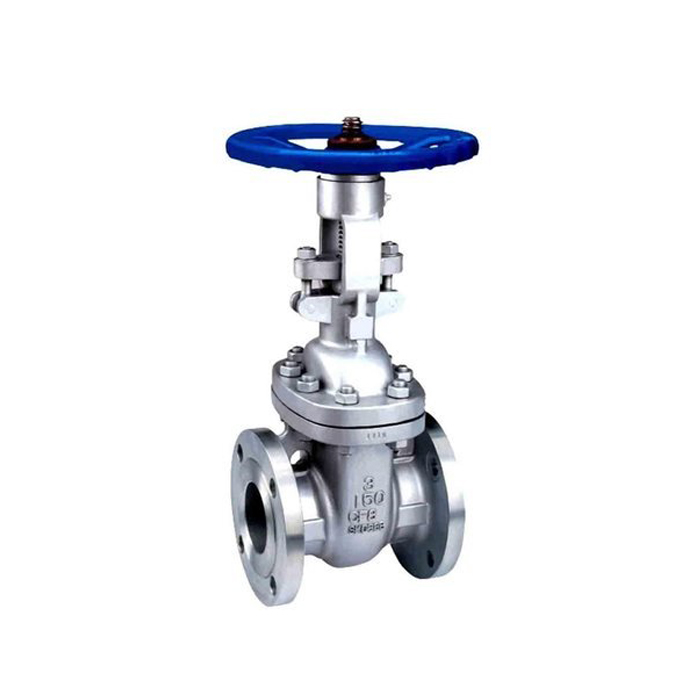 Rising stem API gate valve 