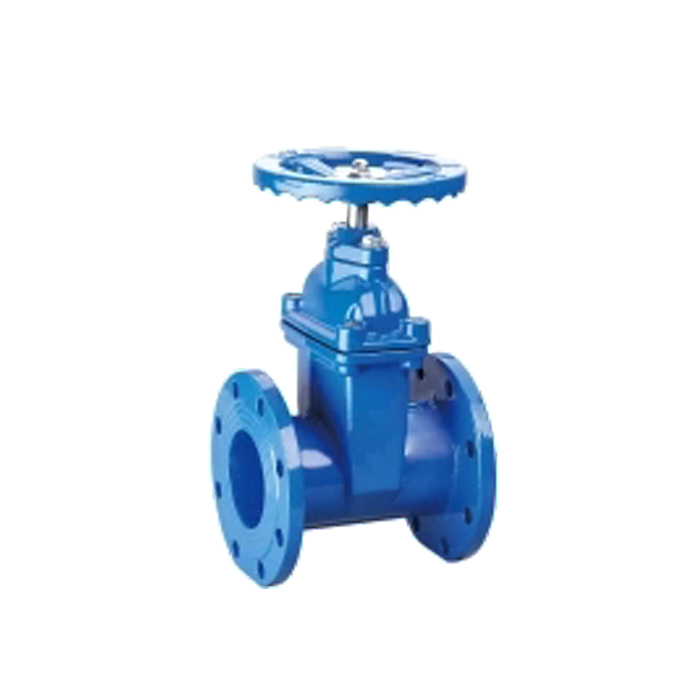   Resilient Seated flange Gate Valves Ductile