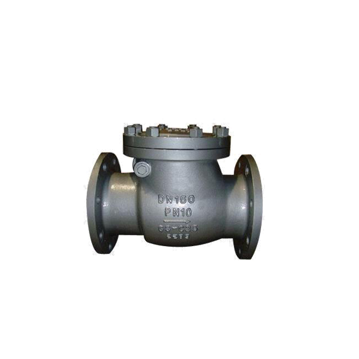 Din cast iron swing check valve