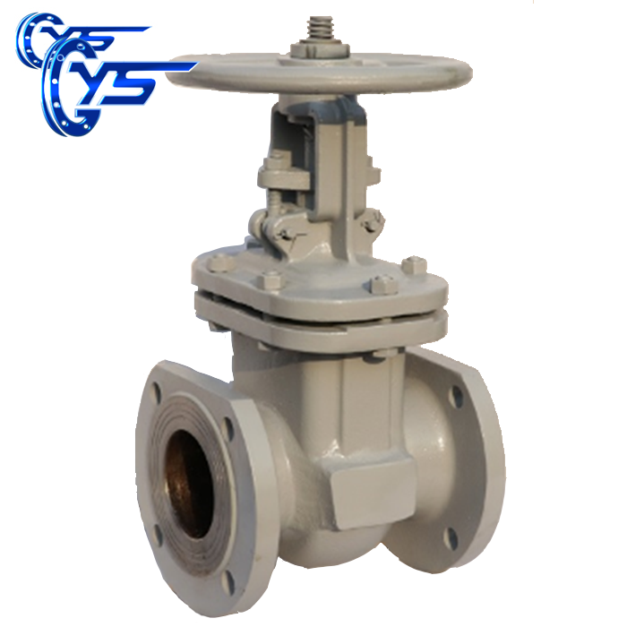 GOST/RUSSIAN Stainless Steel Gate Valve  PN16/PN25/PN40