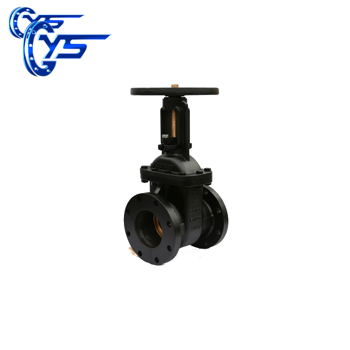 ANSI/API Iron OS&Y Gate Valve Type E 