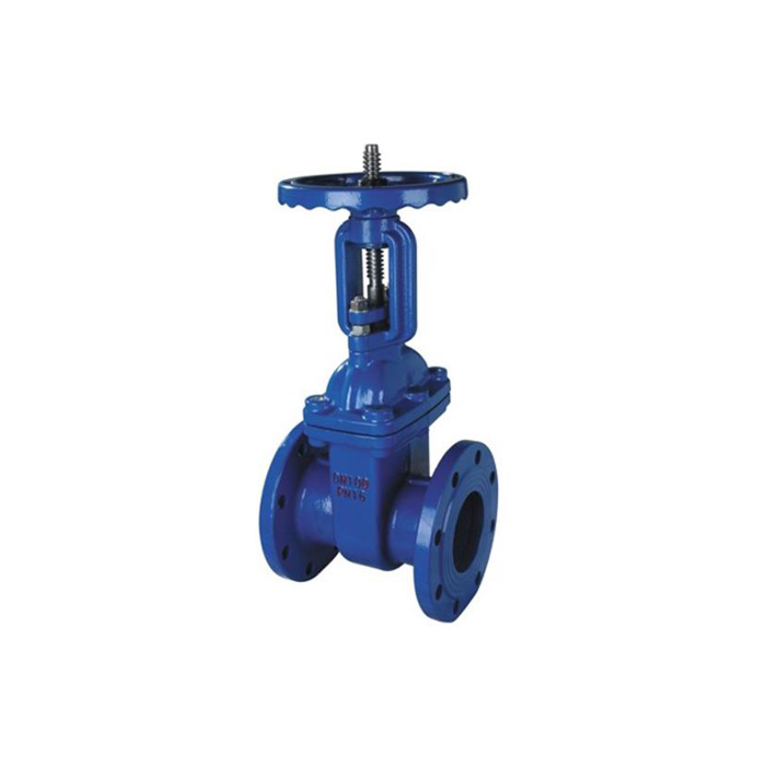 Z41X-10/16Q Rising Stem Soft Sealing Gate Valve 