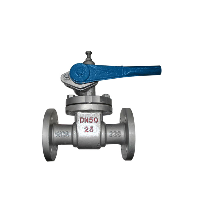 P48H-16 Blow Down Valve