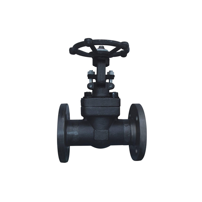 Z41H / Y-25 / 40/64/100/160 forged steel flanged gate valve