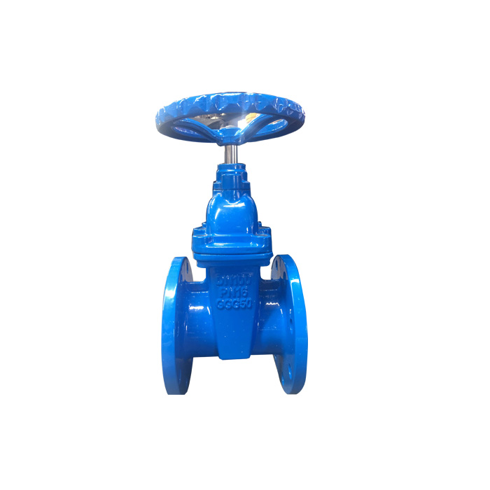 DN 50-300mm BS Non-rising Stem Resilient Soft Seated Gate Valve