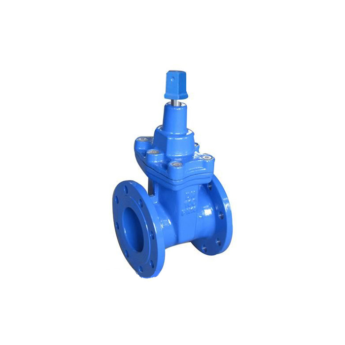 DN 50-300mm BS Rising Stem Gate Valve