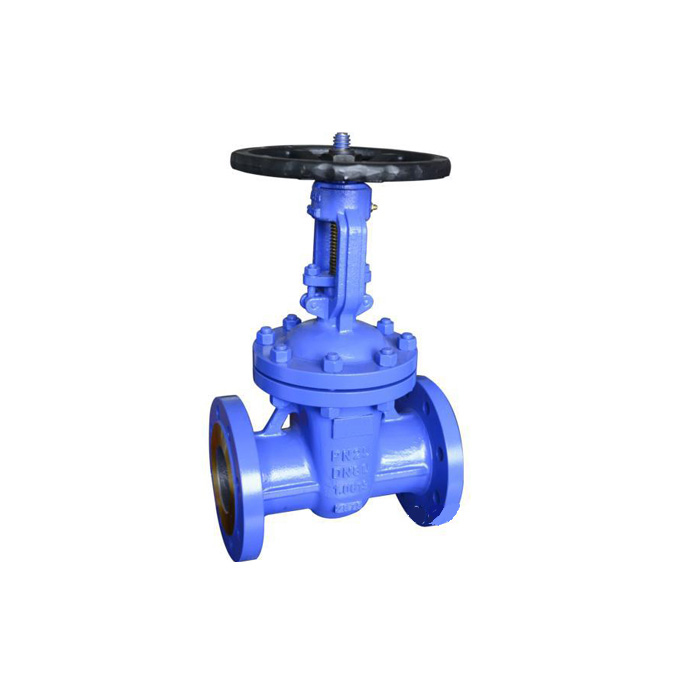 Z41H/W-16/25/40/64 DIN Cast Steel Gate Valve