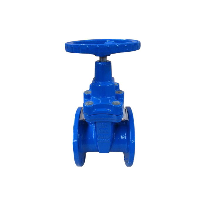 DN 50-300mm DIN F5 Non-rising Stem Gate Valve