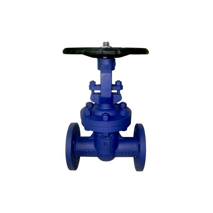 DZ41-16 / 25/40 DIN F5 open rod cast steel gate valve