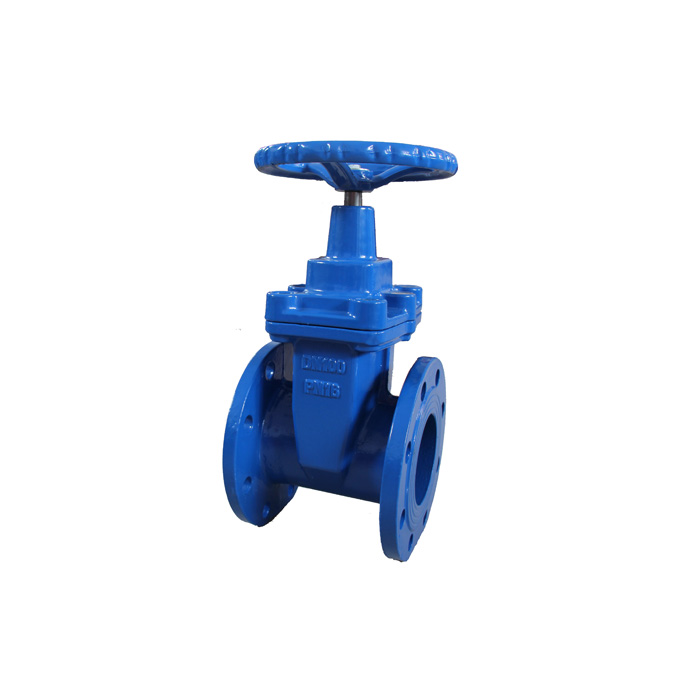 DN 50-300mm DIN F4 “A”Type Non-rising Stem Soft Sealing Gate Valve