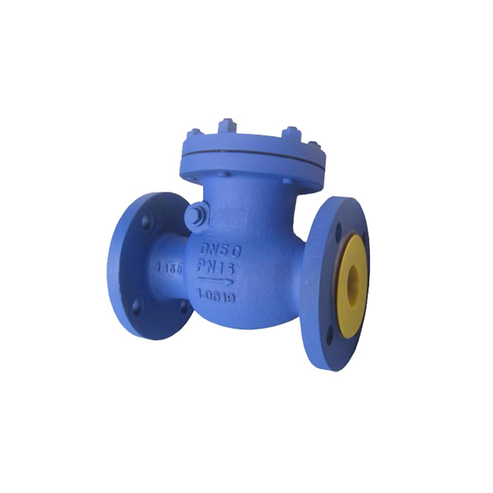 DIN Swing Check Valve