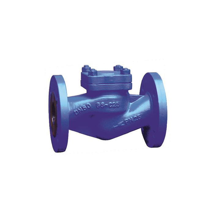 H42H-16/25/40 DIN Lifting Check Valve