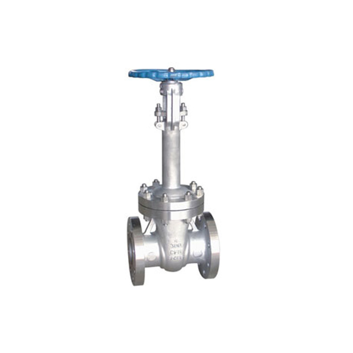 DN 50-1000mm ANSI Low Temperature steel Gate Valve