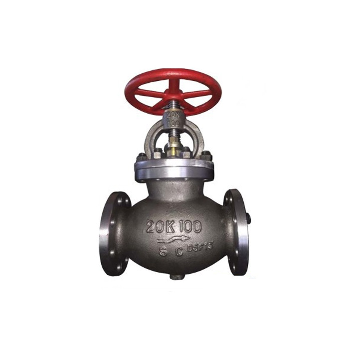 DN 40-200mm JIS Globe Valve 2