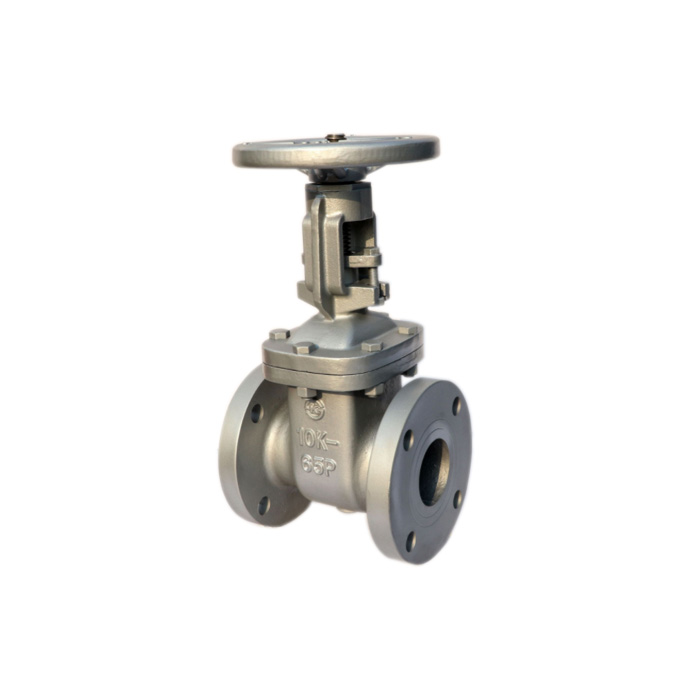 DN 50-300mm JIS 10k Rising Stem Gate Valve