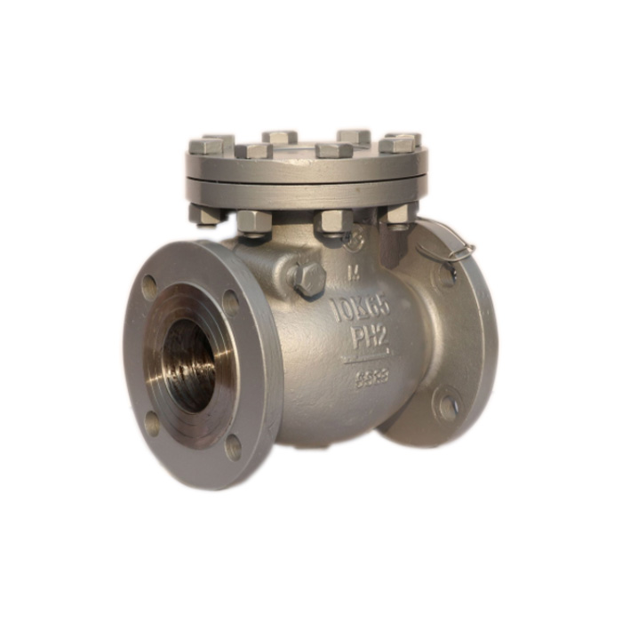 DN 40-150mm JIS Check Valve