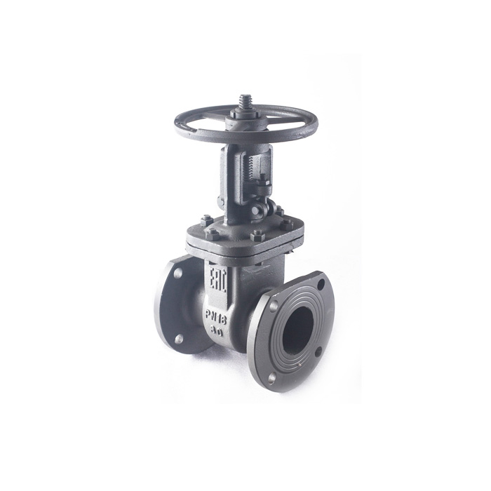 Gost Light Type Steel Gate Valve Z41H-16C