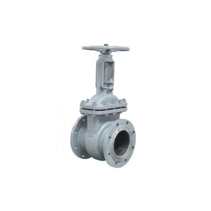 Gost Heavy Type Steel Gate Valve