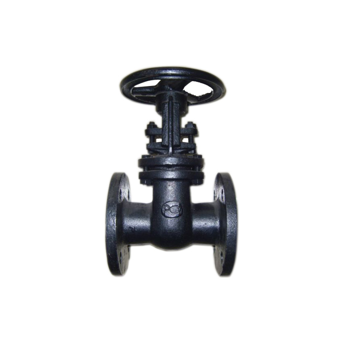 Gost Cast Iron Gate Valve Z44T-10/Z41T-16