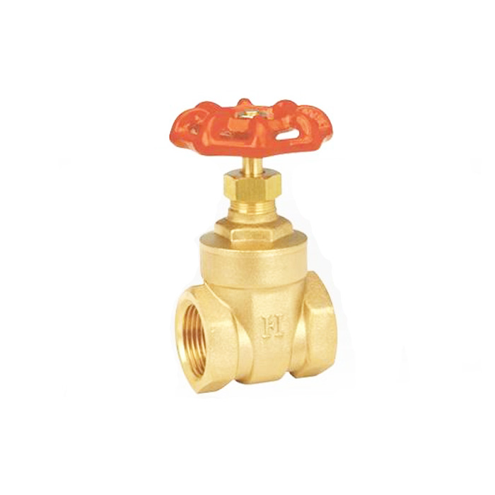 DN 8-100mm Brass Gate Valve