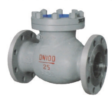 About the usefulness of check valve