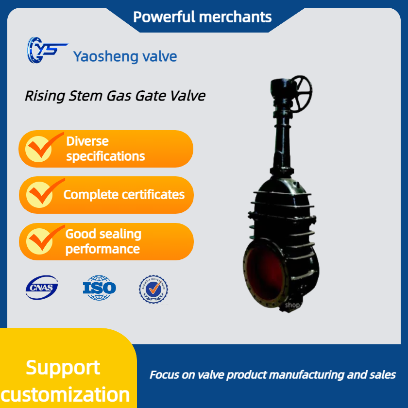 Z542W-16 Rising Stem Gas Gate Valve With Wormgear