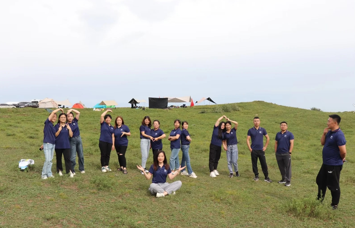 Our Team