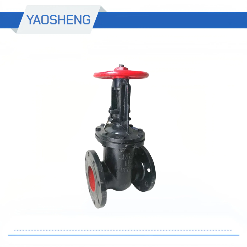 Gost Cast Iron Gate Valve Z44T-10/Z41T-16