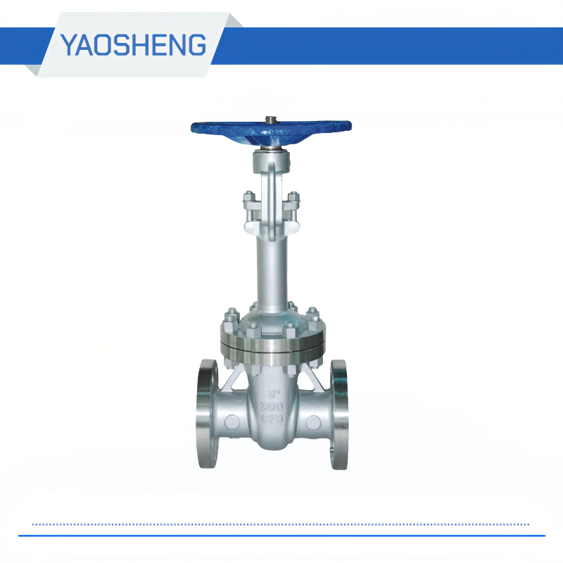 DN 50-1000mm ANSI Low Temperature steel Gate Valve
