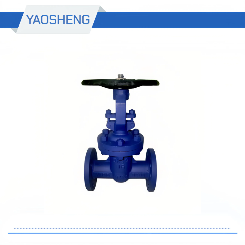 DZ41-16 / 25/40 DIN F5 open rod cast steel gate valve