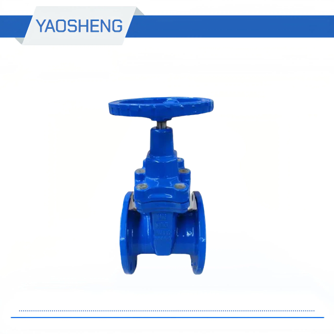 DN 50-300mm DIN F5 Non-rising Stem Gate Valve
